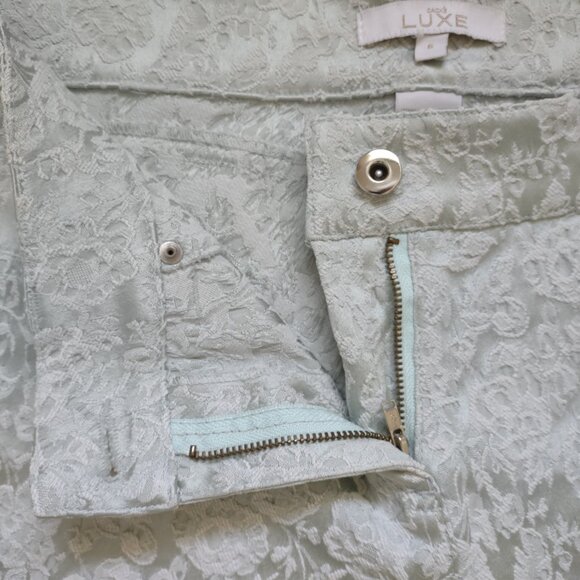 Cache Luxe Pants Size 6 Pale Green Tapestry - Picture 2 of 5